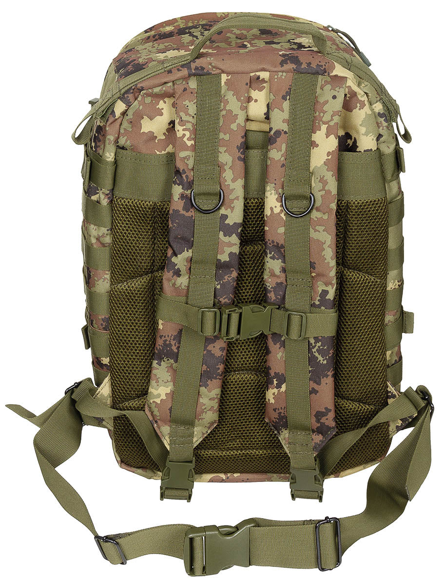 US Rucksack, Assault II, vegetato